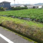 都城市上長飯町 売地（A-2） 640万円